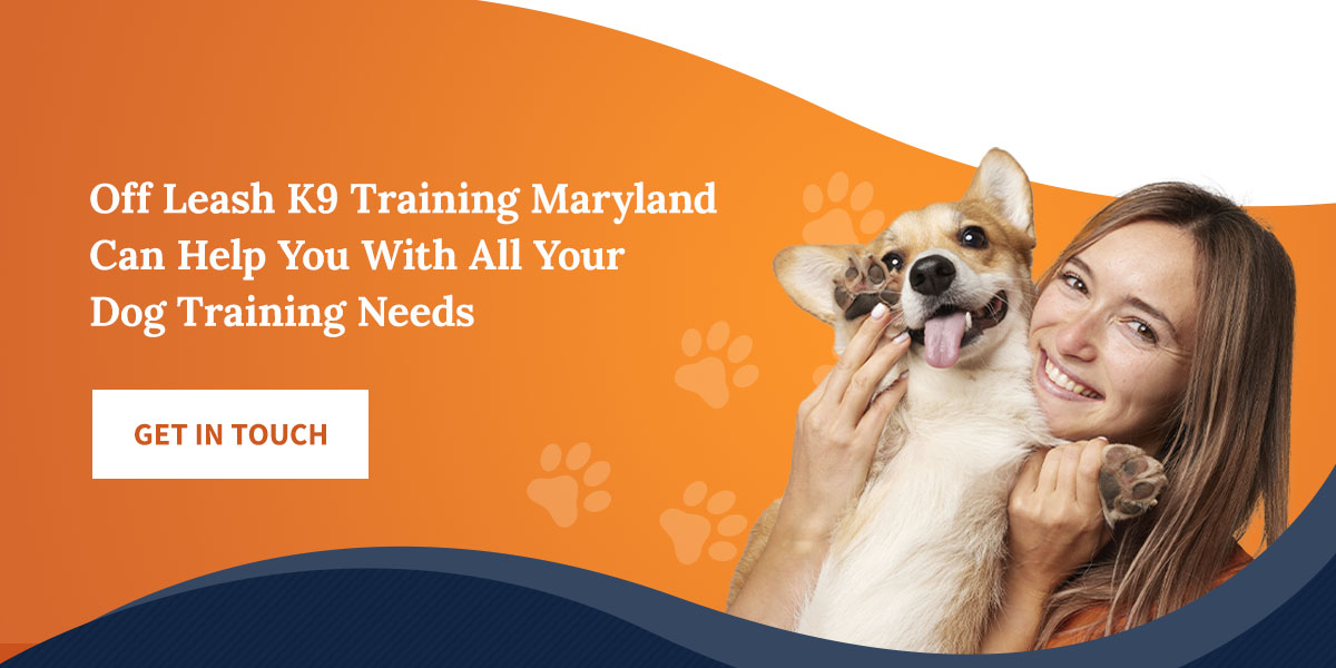 Off Leash K9 Training Maryland Can Help You With All Your Dog Training Needs