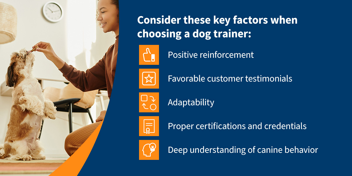 Key qualities of a good dog trainer