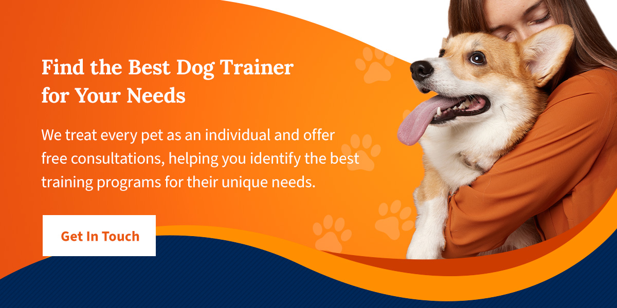 Find the Best Dog Trainer for Your Dogs Needs at Off Leash K9 Training MD